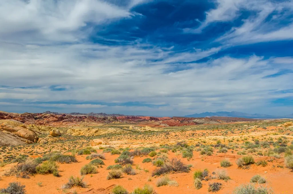Featured image for Protecting Your Belongings from Texas Heat and Extreme Temperatures